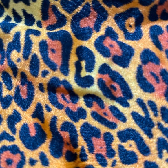 Leopard Print Bikini Set - Picture 2 of 4